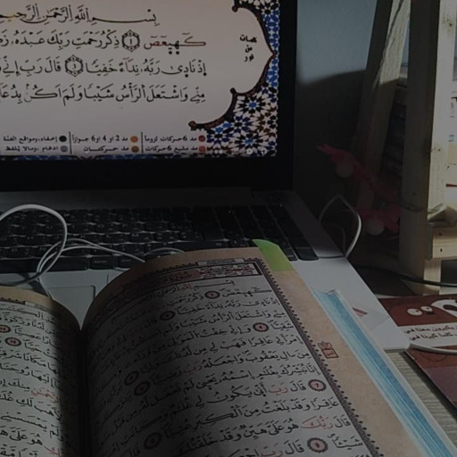 رقيه السيد