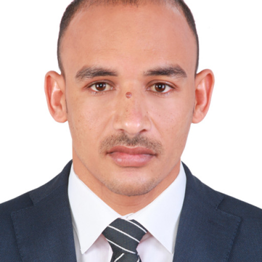 حمادة الروبي