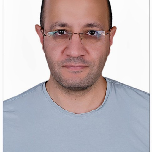 Amr Rabea Abdou