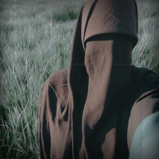 آيات فتحى ربيع