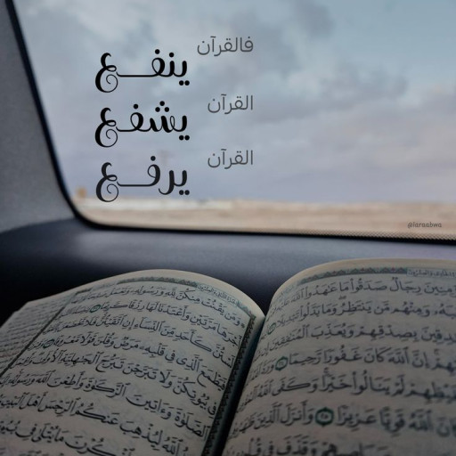 محمد السيد امام