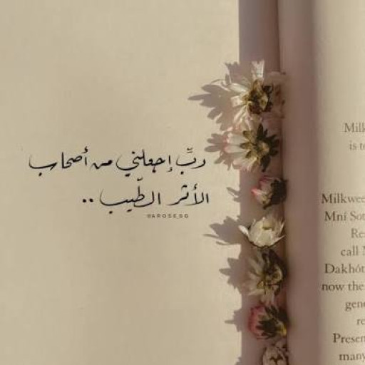 Soumaya Farhat