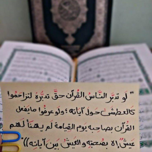شروق محروس قنديل