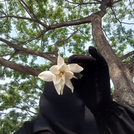 آلاء رضا الجندى